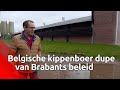Belgische kippenboer dupe van Brabantse stikstofproblemen