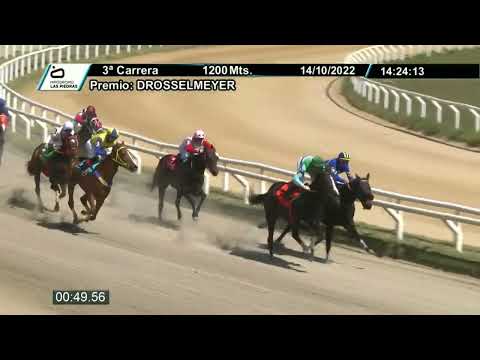 221014 c03 - DESTEMIDA (BRZ) - HIPODROMO LAS PIEDRAS