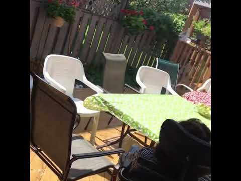 Tara la copine de N.O.S