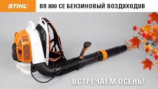 Воздуходувка ранцевая STIHL BR 800 C-E - видео №1