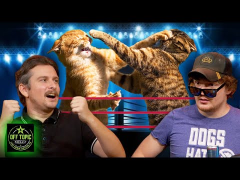 Cat Wrestling Federation - Off Topic - #354
