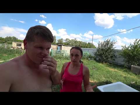 Жизнь в деревне - Купили птицу. Покатались по окрестностям. Наш огород / Семья в деревне