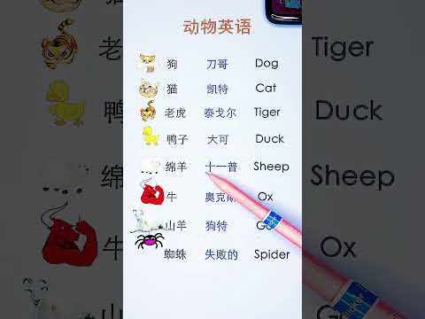 388 零基础英语学习#开学第一课#你好新学期#英语