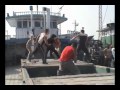 Sura Fight