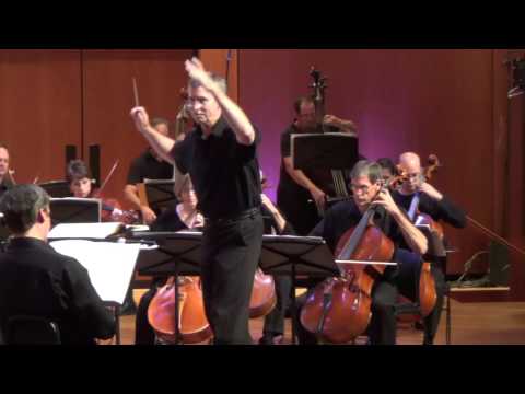 Bach/Stokowski Toccata and Fugue in D Minor--Allegro Chamber Orchestra, Brian Norcross, Conductor