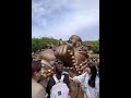 Buddhist Temple In China