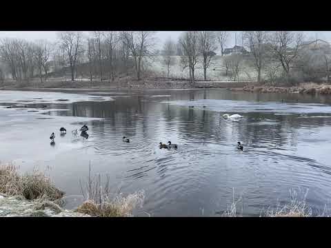 Reklamefilm for Lunderskov