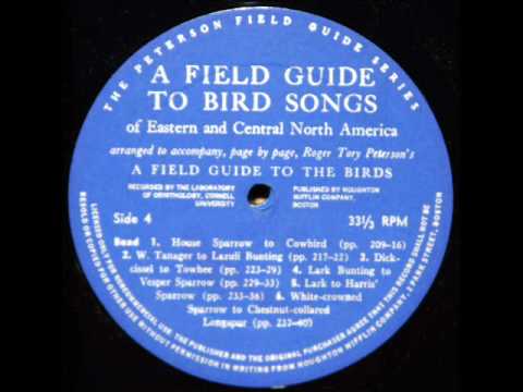 R. Tory Peterson: Audio Field Guide to Bird Songs of Eastern, Central N. America - 1961 (6 of 6)