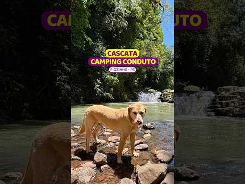 😱ATENÇÃO! CUIDADO nas travessias de rio na #cascatacampingconduto #campingconduto #apiuna