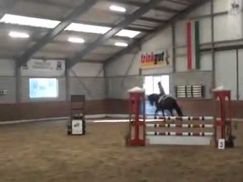 Coming 5 yo gelding by Baquito (Baloubet du Rouet)