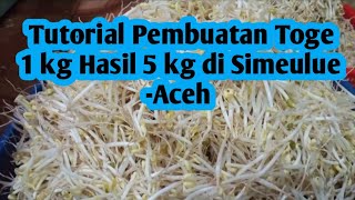 Download lagu How to Make Bean Sprouts: Turn 1kg into 5kg in Simeulue, Aceh mp3