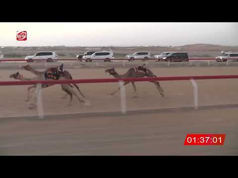  ش 1 (براقه) لـ سعيد مبارك بن مرخان الكتبي 3:18 ، شارة الصندوق 2026/08/28 فطامين الجبيب