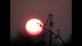 lou doillon - i c u - &amp; lyrics