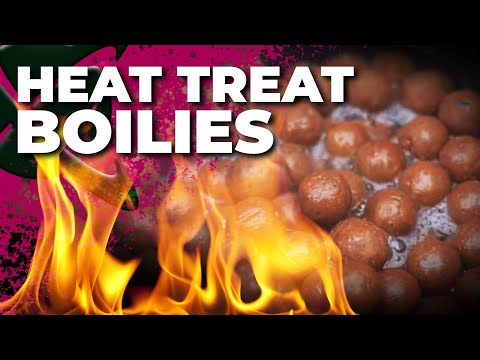 TURN UP THE HEAT 🔥 CARP FISHING BOILIE HEAT TREATMENT