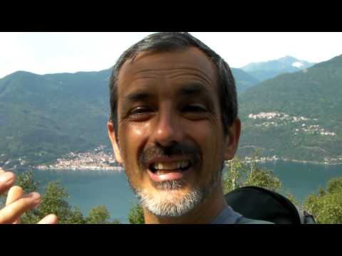 Per malattie renali possono corrispondere rotazione Sostituzione delle articolazioni delle mani e delle dita