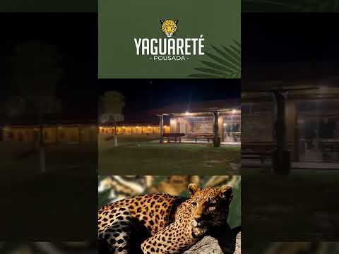¡El lugar perfecto para relajarte rodeado de naturaleza! Hotel Pousada Yaguareté Paraguay