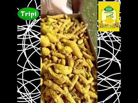 Yellow tripi pure organic loose turmeric powder, 25 kg