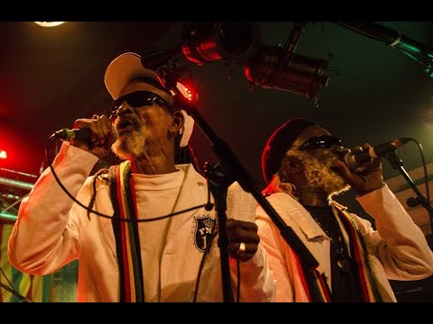 Ya Ho - The Viceroys @ New Morning, Paris 2015