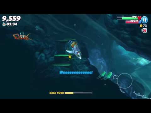 Gem fish for days and my first small shark