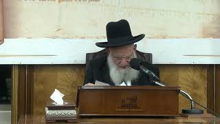 ביאורים על פרשת השבוע - פרשת בא תשפ"ה (מוסדות אור החיים) - התמונה מוצגת ישירות מתוך אתר האינטרנט יוטיוב. זכויות היוצרים בתמונה שייכות ליוצרה. קישור קרדיט למקור התוכן נמצא בתוך דף הסרטון ביאורים על פרשת השבוע - פרשת בא תשפ"ה (מוסדות אור החיים) - התמונה מוצגת ישירות מתוך אתר האינטרנט יוטיוב. זכויות היוצרים בתמונה שייכות ליוצרה. קישור קרדיט למקור התוכן נמצא בתוך דף הסרטון