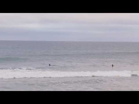 200310 T Street w/ some waves from Pro Surfer Caroline Marks!