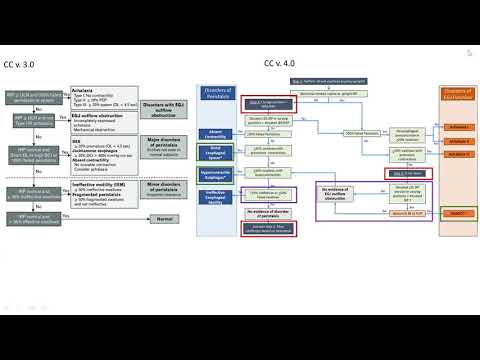Conversation with author: What's new in Chicago classification 4.0 for esophageal motility disorders