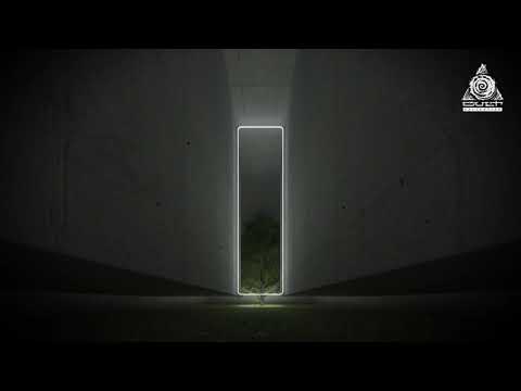 WaveBndr - Anthr Rlm (Official Video)