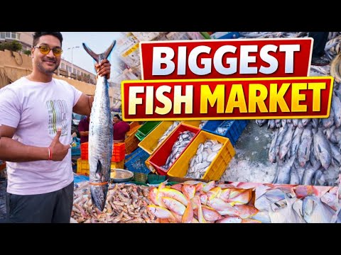 Mumbai Biggest Fish Market 2026 | CSMT Fish Market | Wholesale & Retail Fish Market CST Fish Market