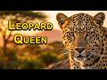 LEOPARD QUEEN