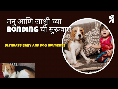 मनु आणि जाश्वी च्या bonding ची सुरूवात | Ultimate Baby & Dog Moments#baby #funnybaby 