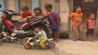 Sufjan Stevens: Year of the Monkey