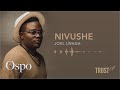 Nivushe