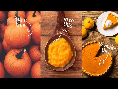 Can't Find Canned Pumpkin? | DIY Pumpkin Puree