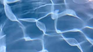 ぼく、水のなかで生きたい。