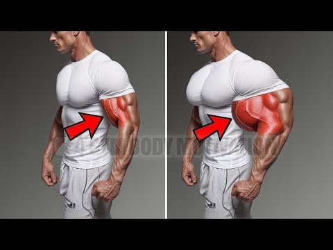 6 Killer Exercises for BIGGER Biceps Peak FAST