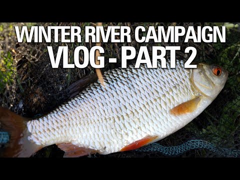 The Search For Roach | Winter River Fishing Campaign | Vlog - Part TWO!