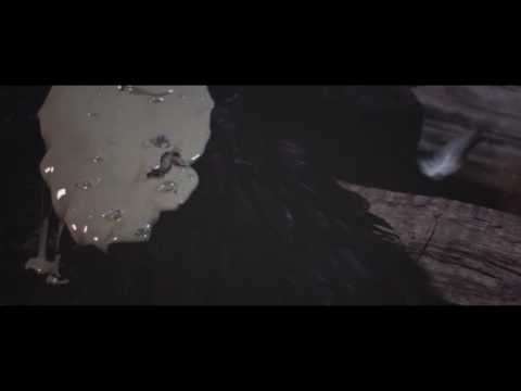 Video thumbnail for II. The People