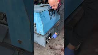 Передвижной компрессор BOTTARINI DS18 | Изображение 4 - Machineryline