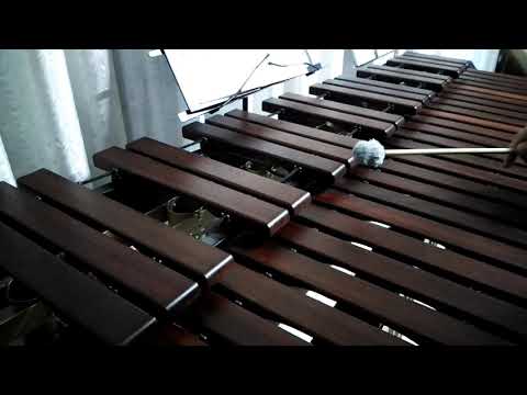 Inni di lode N°404: Quando sarà che in cielo Marimba Cover