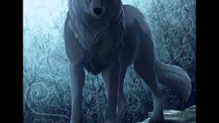 Animalsh- Woman in Black trail