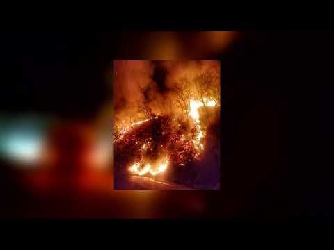 Incendio forestal controlado, municipios de Pluma Hidalgo Y San Pedro Pochutla liberados de peligro