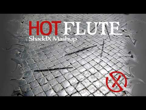 New World Sound & Thomas Newton Vs Mike Hawkins, Henry Fong & Toby Green - Hot Flute (ShaddX Mashup)