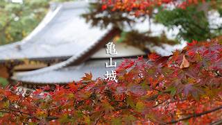 Tamba Kameyama Castle Ruins Park video preview