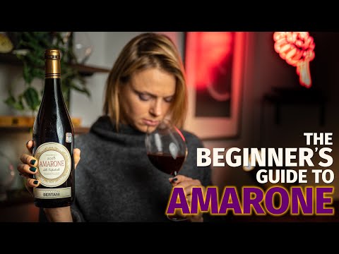 The Beginners Guide to AMARONE Wines