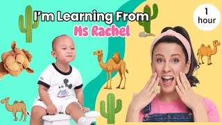 Toddler’s Indoor Traffic Jam – So Many Cars & Trucks!