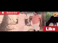 Goundamani Senthil Comedy Status Tamil Whatsapp Status
