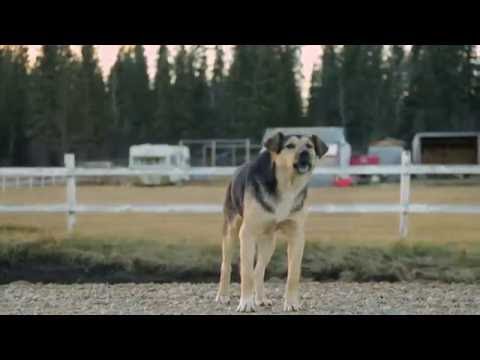 Rađanje zemlje SPEC 4 - Klimatske promjene u vašem dvorištu - Ponedjeljak 17:05