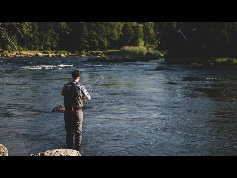 Kuulumisia Kymijoelta #23 - "Elokuu, mutta missä lohet" | Lohenkalastusta Kymijoella
