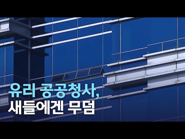 전라북도의회 건물이 새들의 무덤?