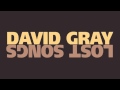 David Gray - "Twilight"